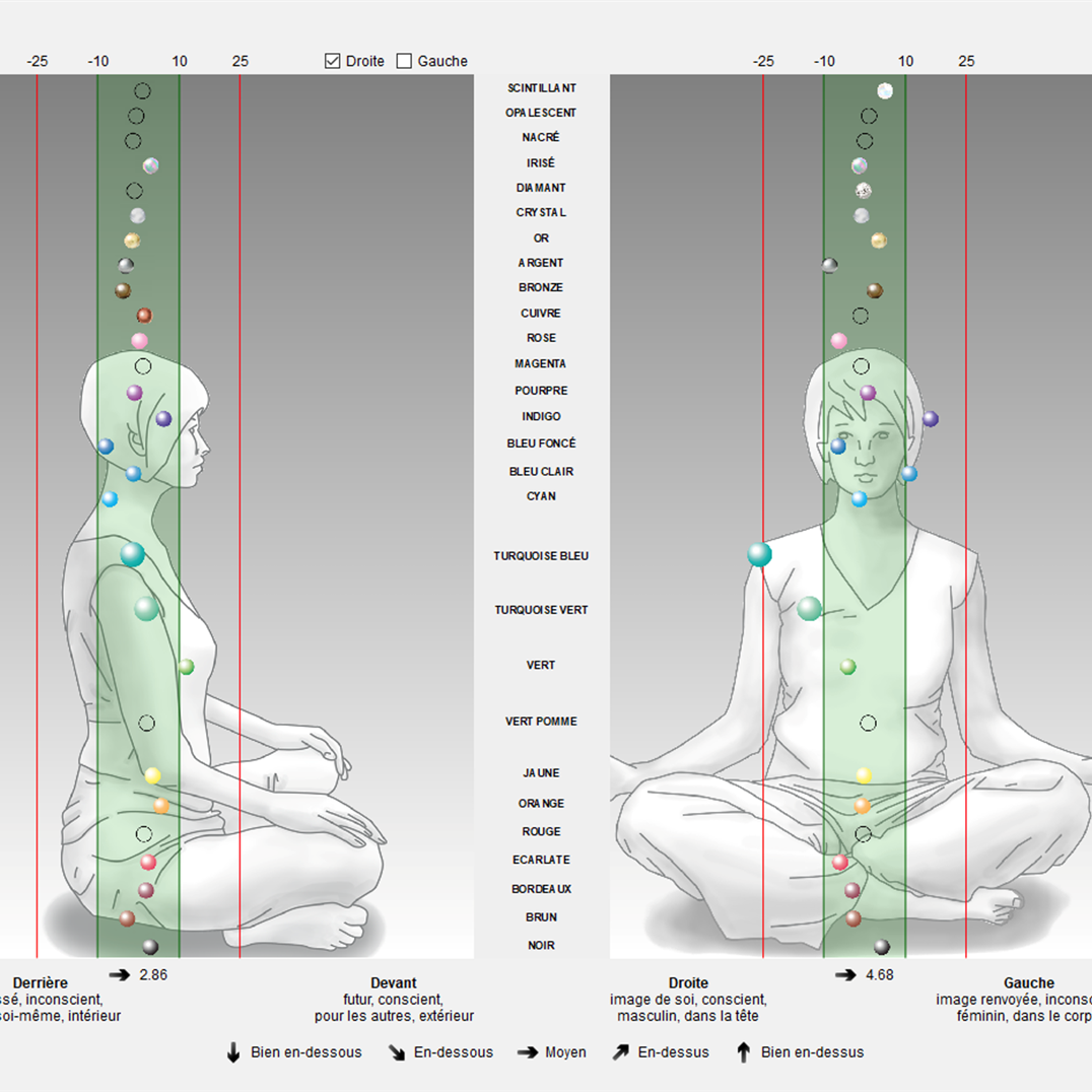 Bilan de vos chakras à Gommegnies